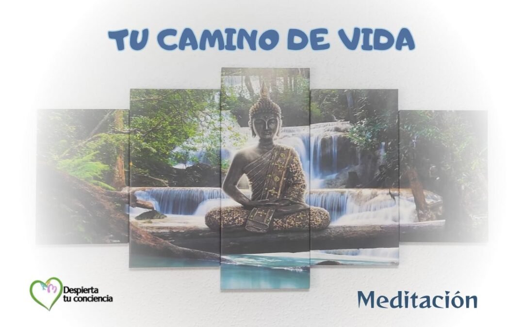 Meditación para conectar con tu camino de vida