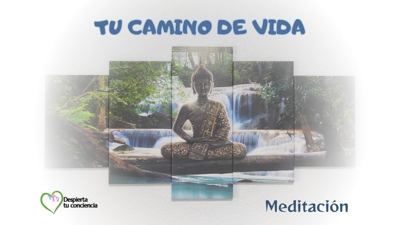Meditación para conectar con tu camino de vida