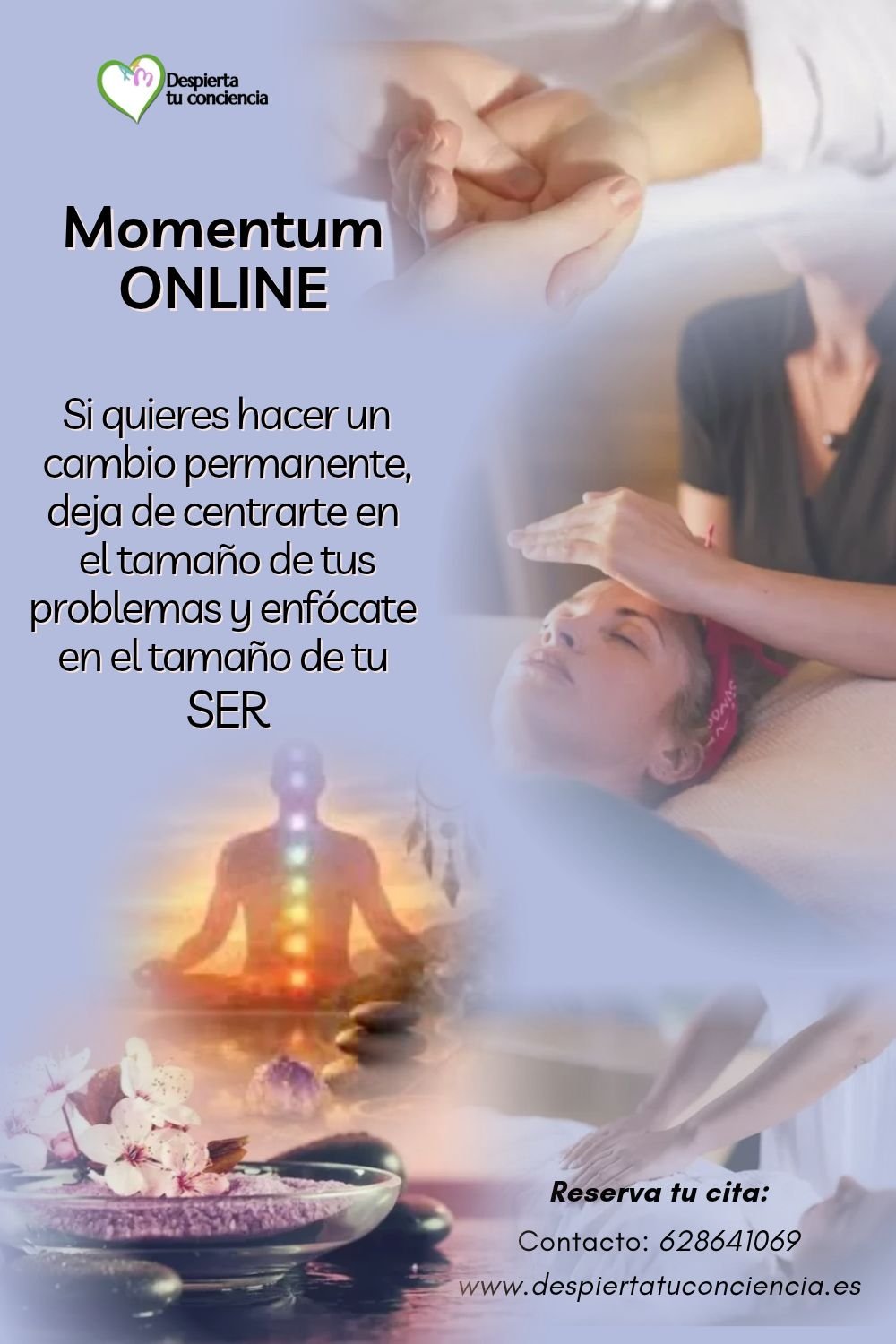 momentum web